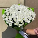 Blumenstrauß 'Lambada'