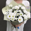 Ramo de crisantemo blanco