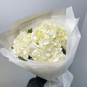 Ramo 'Tres hortensias blancas en un paquete'