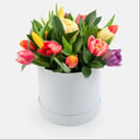 Blumenbox 'Frühling'