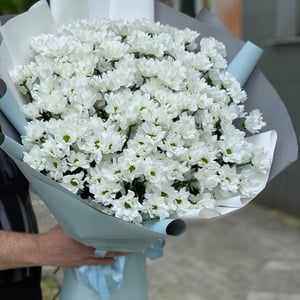 Ramo 'camomile field'