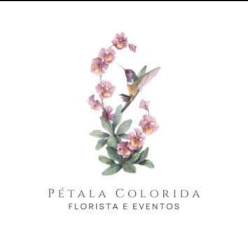 Florista Petala Colorida