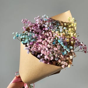 Ramo 'Gypsophila arcoiris'