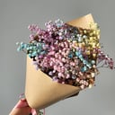 Blumenstrauß 'Regenbogenschleierkraut'