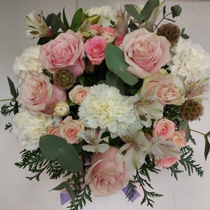 Ramo 'Gentle and affectionate'