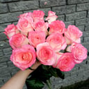 Blumenstrauß 'Bouquet of 15 roses 60 cm'