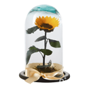 Everlasting sunflower or preserved bloom