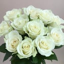 Bouquet of Kenyan Roses