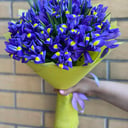 Bouquet 'Meryer'