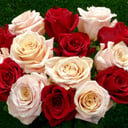 Blumenstrauß 'Amour 15'