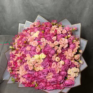 Bouquet '151 strauchrose'