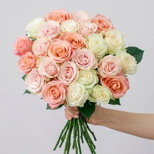 Bouquet of 25 fresh mixed-color roses