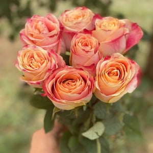 Bouquet 'Grateful gesture'