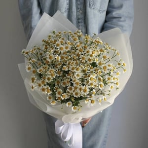 Blumenstrauß 'Daisies 25 pcs'