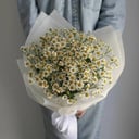 Ramo 'Daisies 25 pcs'