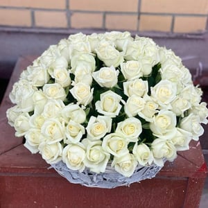 101 ternura en una cesta