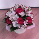 Composition "Louise"