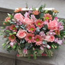 Blumenbox 'Korallen Kompliment'