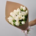 White tulips 25 pcs