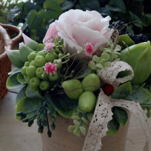 Wunderschöne Seifenkomposition