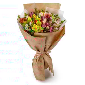 Blumenstrauß 'Lost world (15 alstroemerias)'