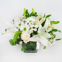 Arrangement 'Harmony'