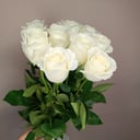 11 white premium roses