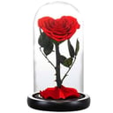 Infinity Rose Rotes Herz