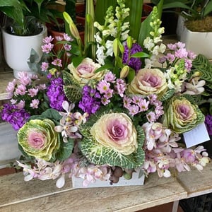 Arrangement 'A magical fantasy'