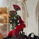 Neun rote ewige Rosen in Glaskuppel