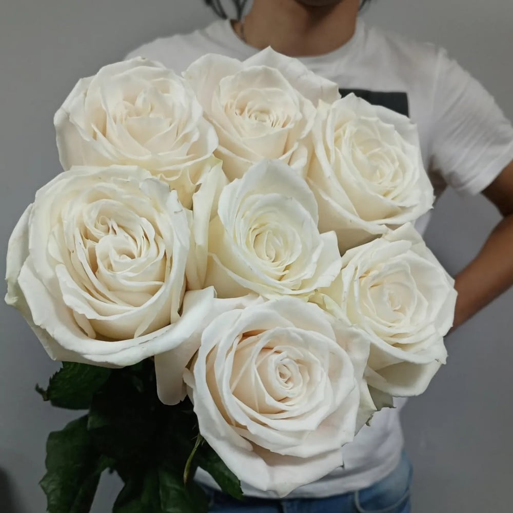 Ramo 'Rosa Playa Blanca, 7 piezas con cinta'