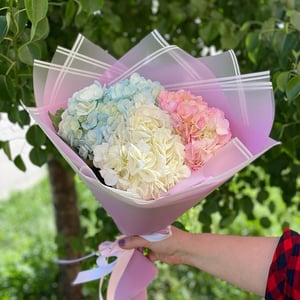 Bouquet 'Hydrangea mix'