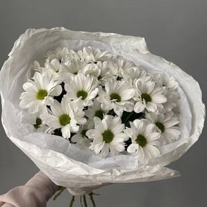 Bouquet 'White spray chrysanthemum'