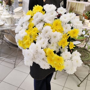 Bouquet of 11 Bush Chrysanthemums