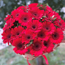 Ramo 'Night city lights'