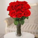 Bouquet of 12 red roses