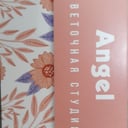 Cvetocnaya studiya "Angel"