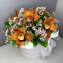 Blumenbox 'Cymbidium-Orchideen in einer Hutschachtel'