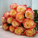 Ramo 'Bouquet of 25 roses Sweetness'