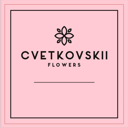 Cvetskovskii