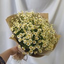 Ramo 'Mañana de campo'