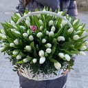 Blumenkorb 'Weiße Tulpen in einem Korb'