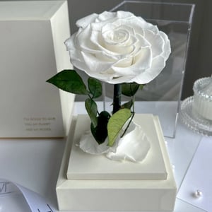 Eternal white rose in a white acrylic tower