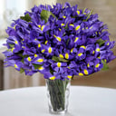 Blumenstrauß '50 Schwertlilien'