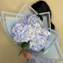 Bouquet of hydrangeas