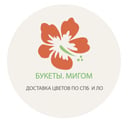 IP Gallamov Amir Timurovic