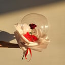 Rose in bubbles ballon