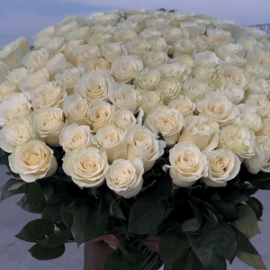 Bouquet 'White rose'