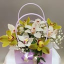 Flower box 'Box with orchids'