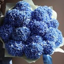 Ramo 'Huge bouquet of blue hydrangeas'